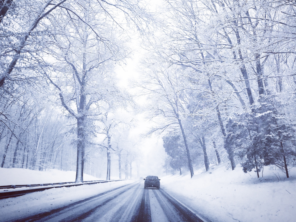 driving in snowy trees