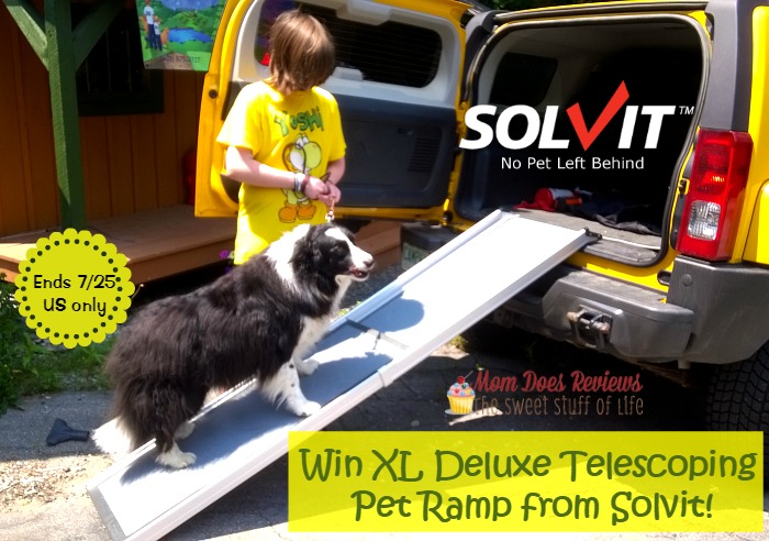solvit pet ramp giveaway