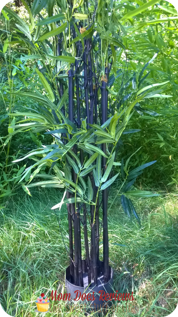 bamboo silk plant 2