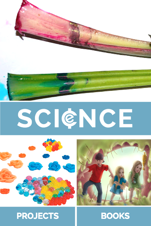 science projects Screen-Shot-2015-08-07-at-11.00.20-AM