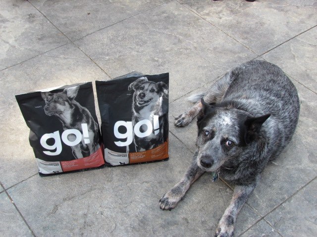 petcurean go food
