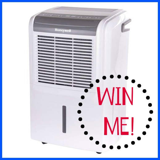honeywell humid win