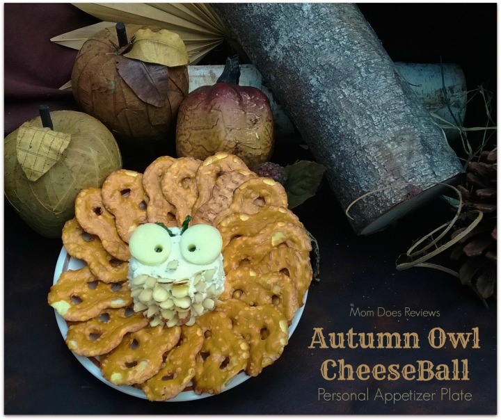 Owl Cheese Ball #Thanksgiving #Autumn #Appetizer #CheeseBall #Owls #OwlLove
