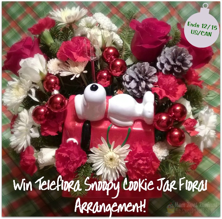 Snoopy-Teleflora-Holiday giveaway