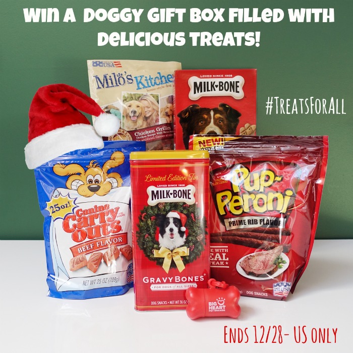 doggy gift box treatsforall