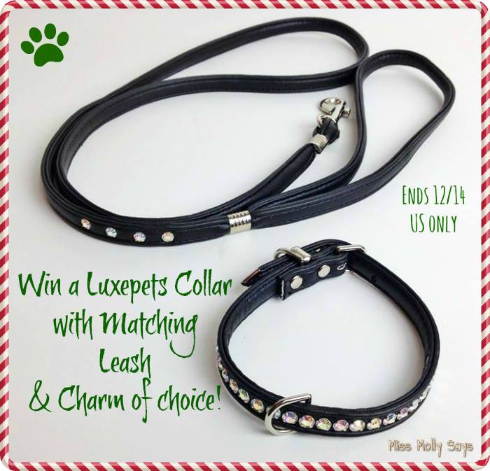 luxepets giveaway