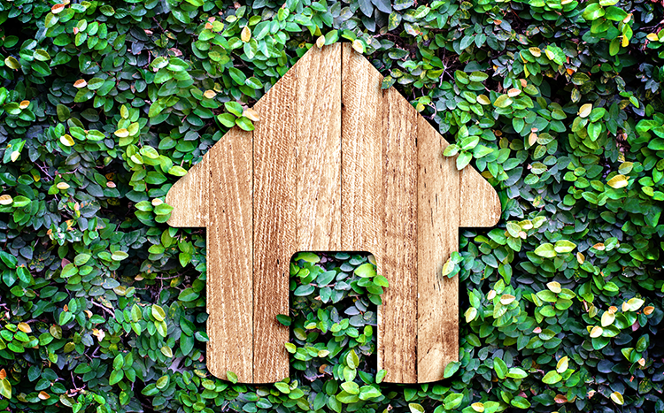 4 Home Services You Didn't Know Could Be Green