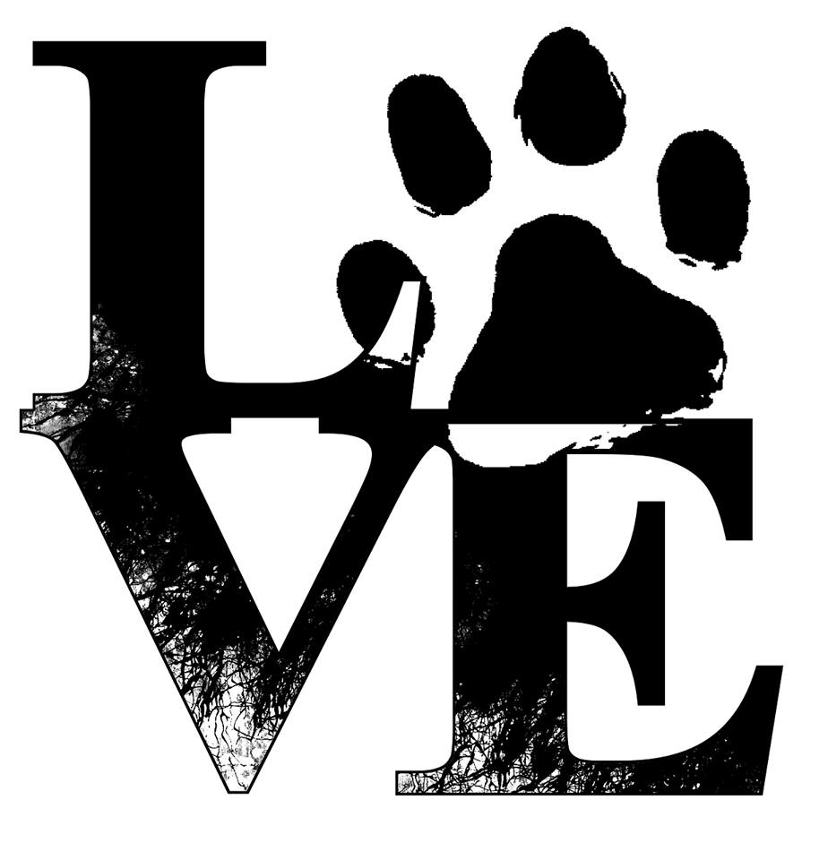 Love your dog