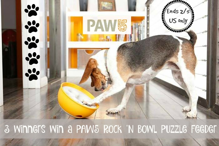 rock puzzle bowl win