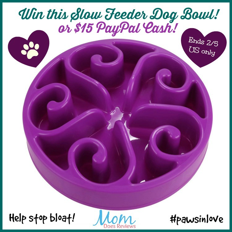 slow feed bowl giveaway with pp