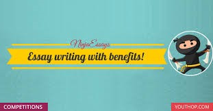 ninja essays