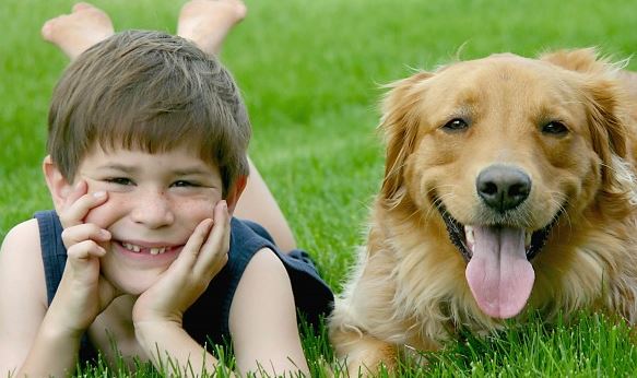 Family Dogs The Best Dogs to Raise with Children