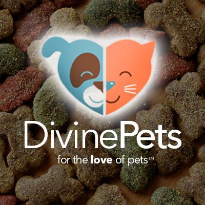 divine pets logo