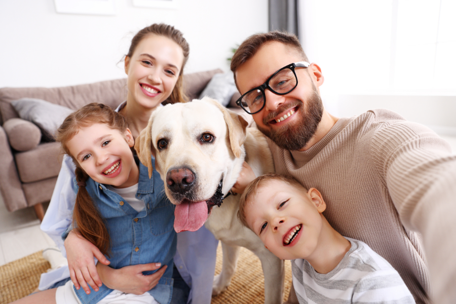 dog with family