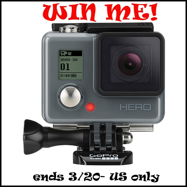 gopro win