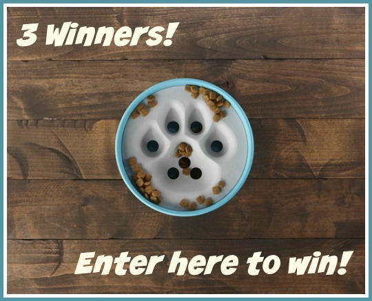 paw5 bowl win