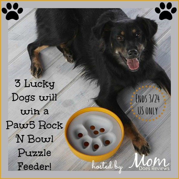 paw5 giveaway