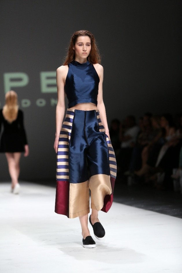 solid stripes fashion