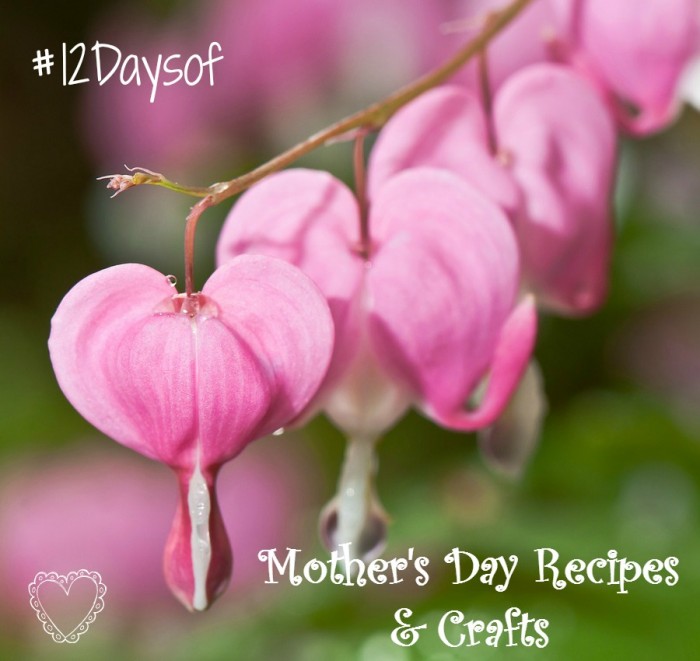 12daysof mothers day 16