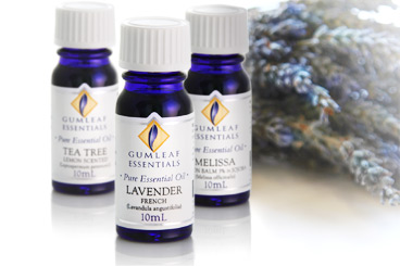 ESSENTIAL OILS_GUMLEAF ESSENTIALS