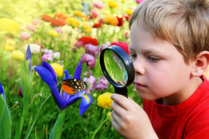 How to Instill a Love of Nature in Your Children