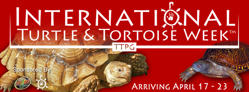international tortoise week