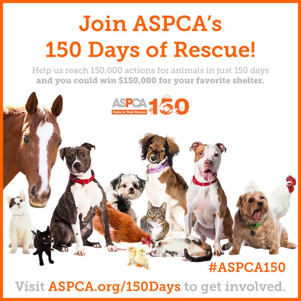 join-ASPCA-150