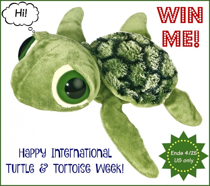 stuffed turtle win me