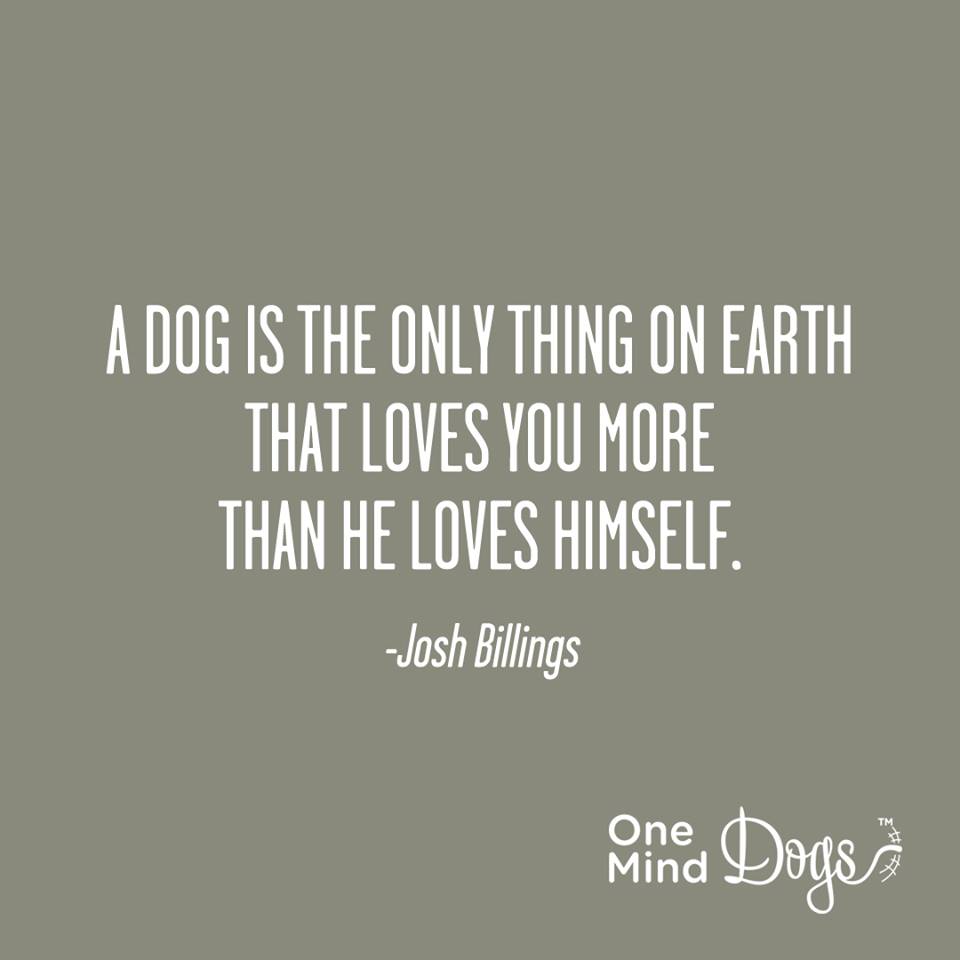one-mind-dog-quote
