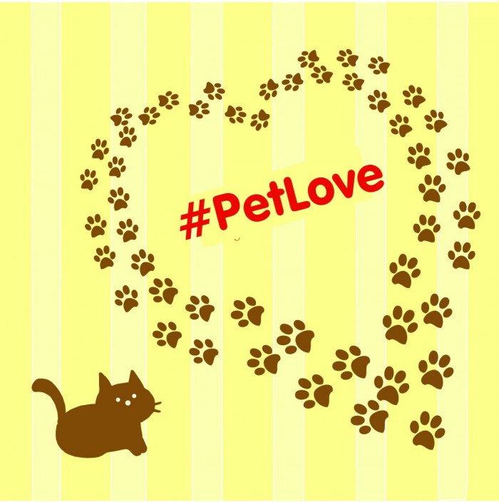 pet-love-heart