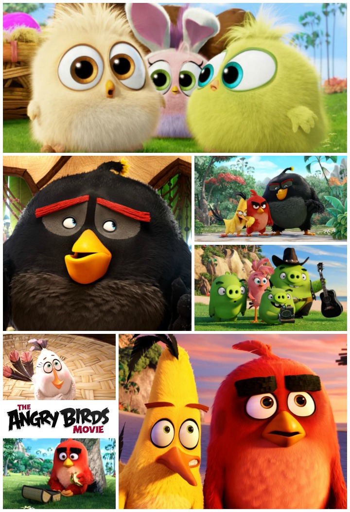 The-Angry-Birds-Movie-Clips
