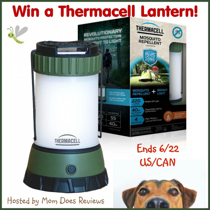 thermacell-lantern-win