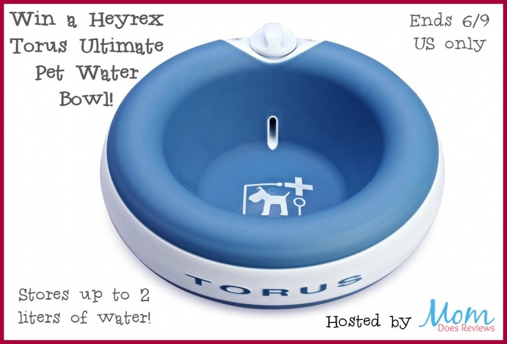torus-blue-waterbowl-win