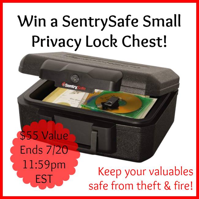 sentry-safe-win