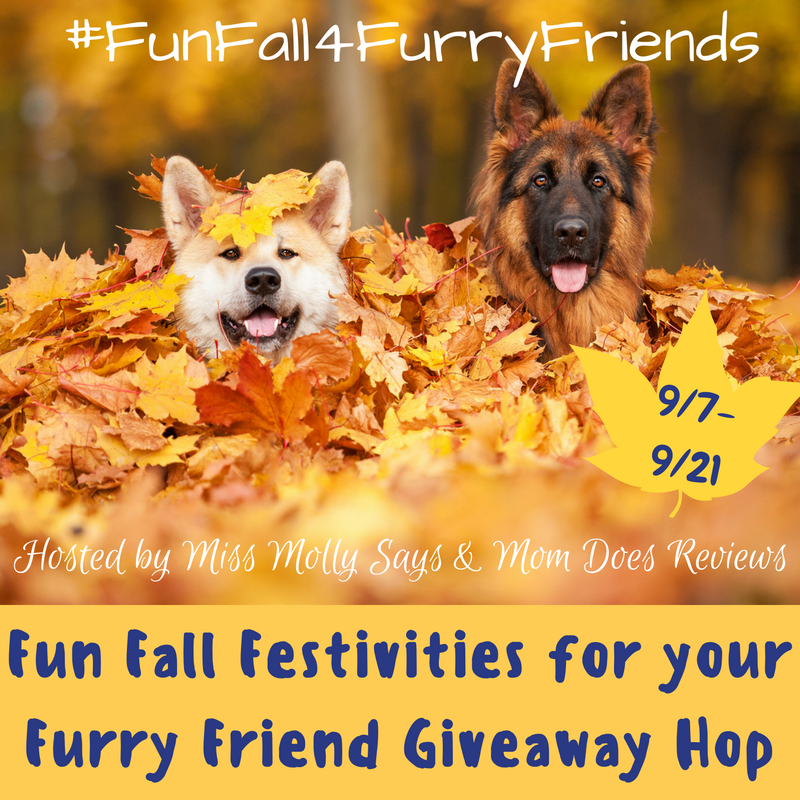 FunFall4FurryFriends-hop