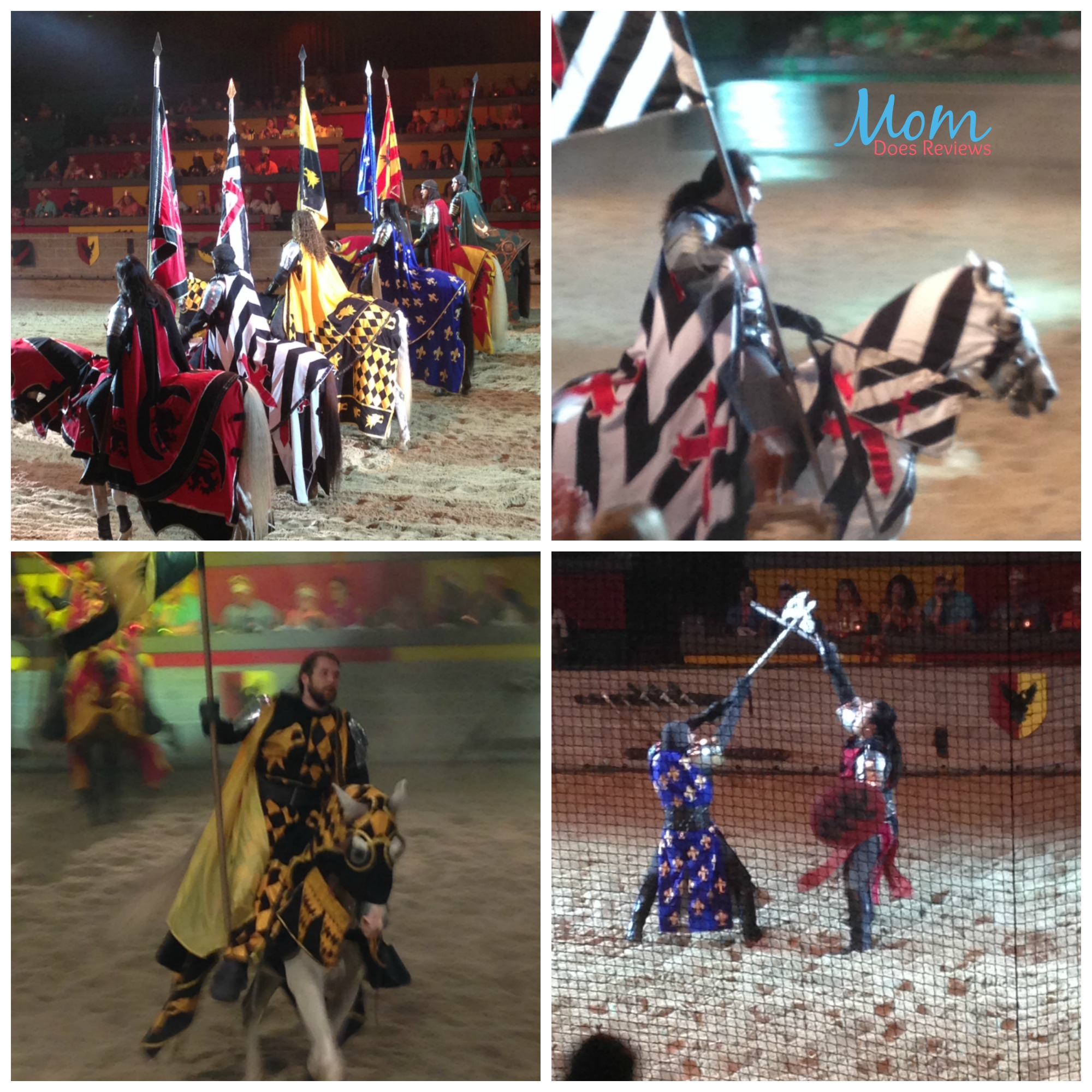MEDIEVAL TIMES COLLAGE