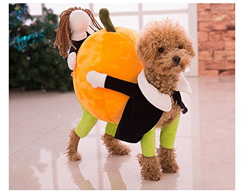 dog-pumpkin-costume
