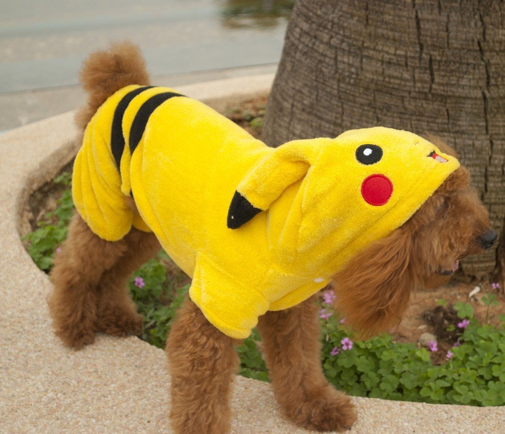 pikachu-on-dog