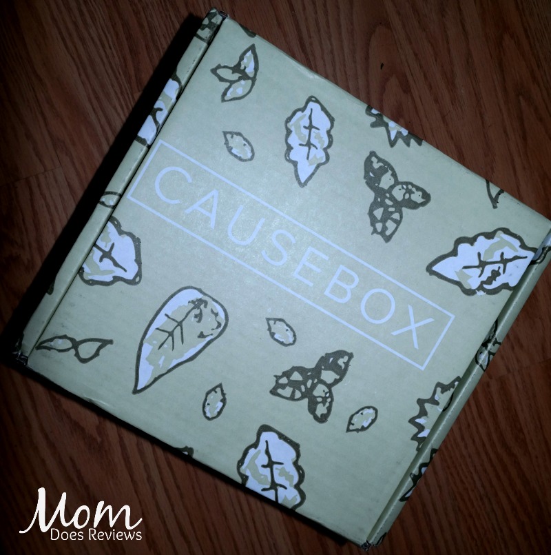 causebox-box