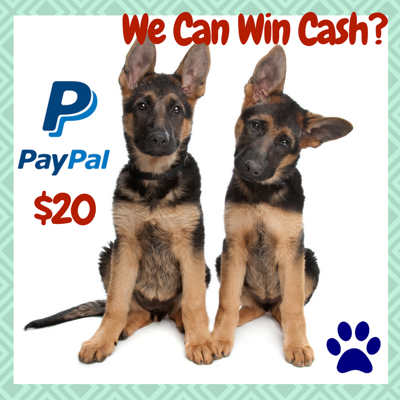 win-cash-pups