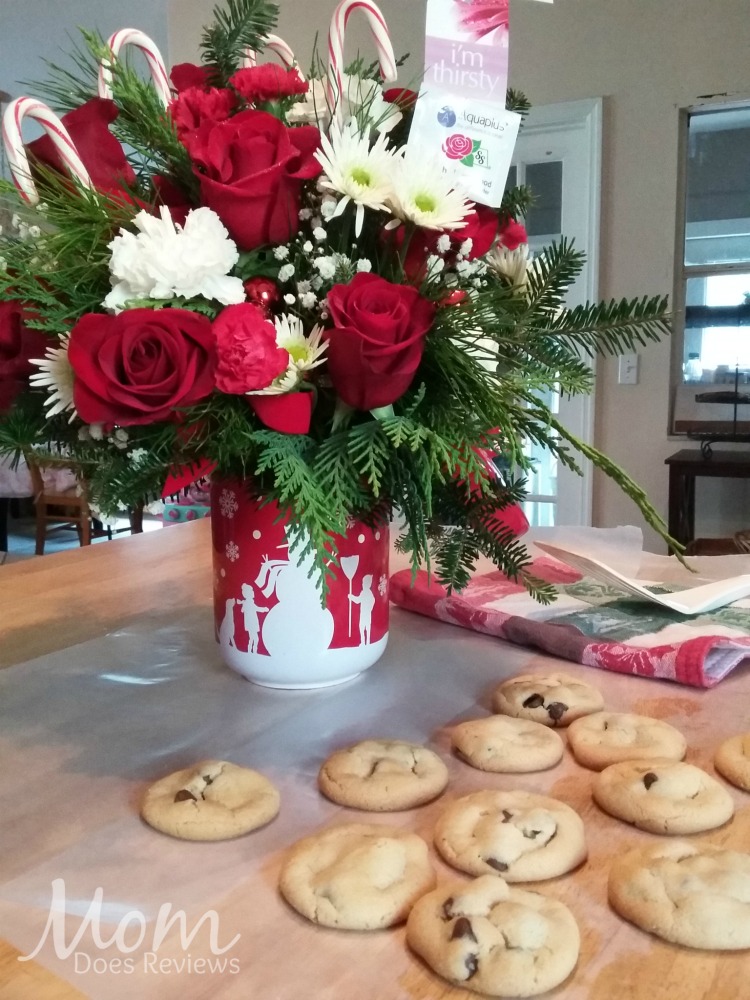 Christmas Gifts from Teleflora