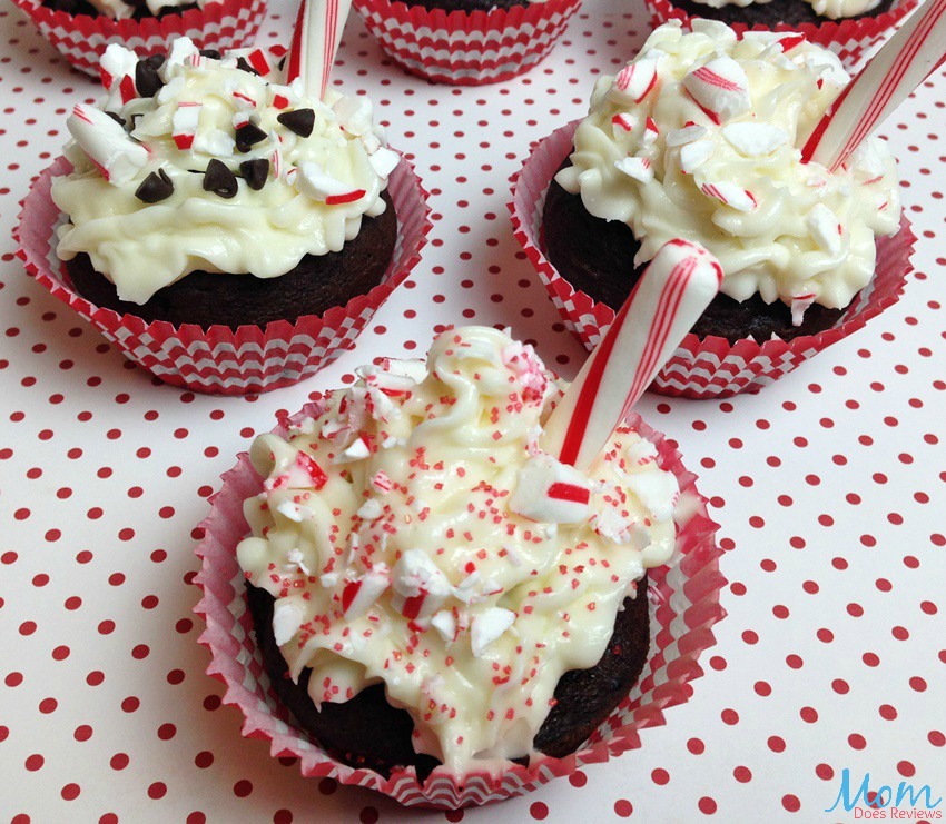 Chocolate Peppermint Cupcake Delight