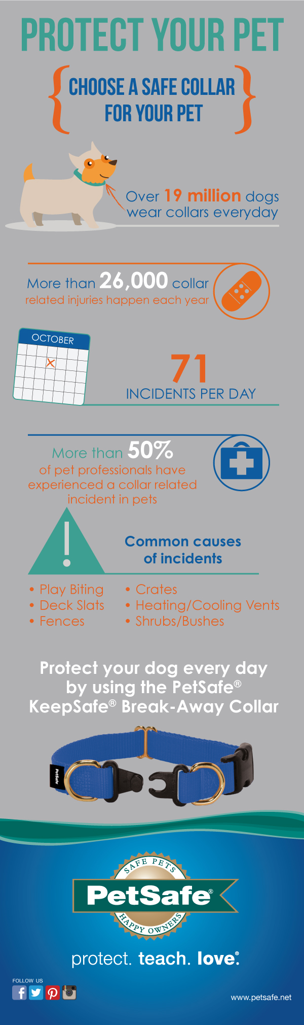 petsafe_collar-safety-awareness-week-infographic
