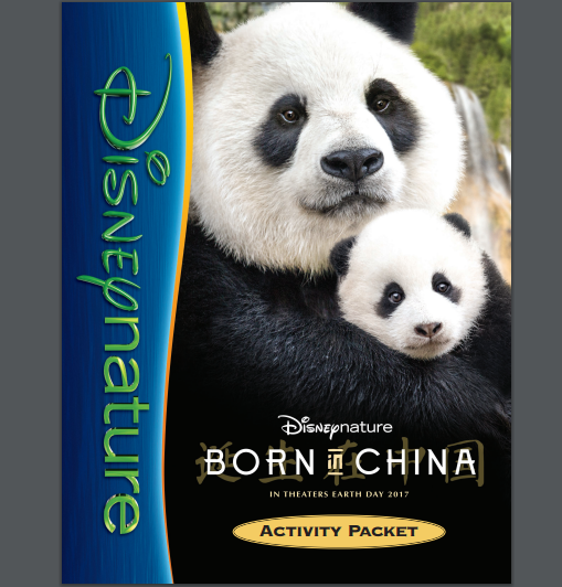borninchina-activity