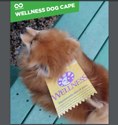 wellness-diy-cape