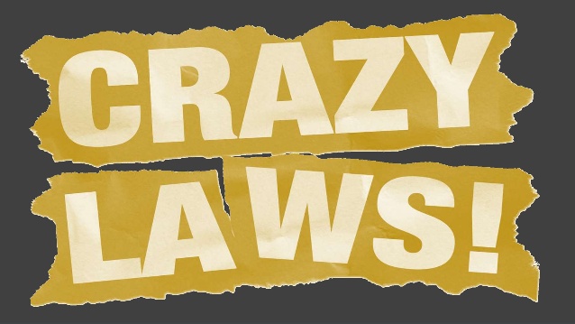crazy-laws