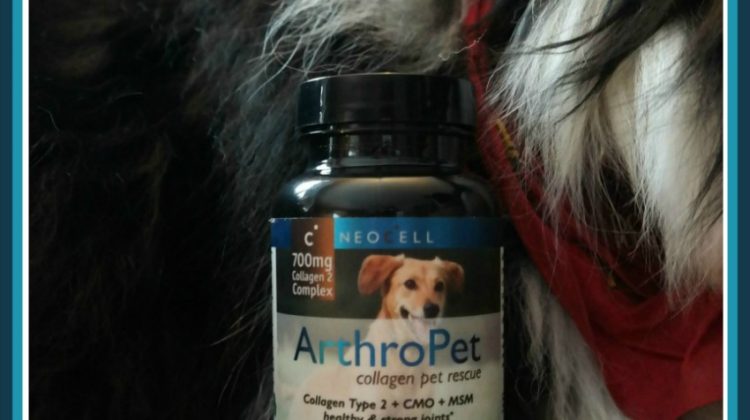 ArthroPet Collagen Supplement Giveaway