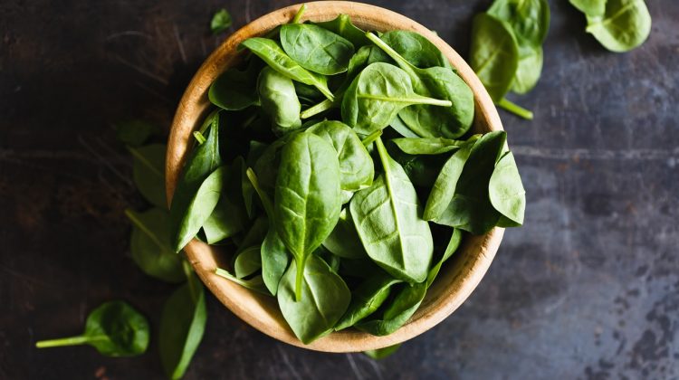 Fresh From Florida Spinach
