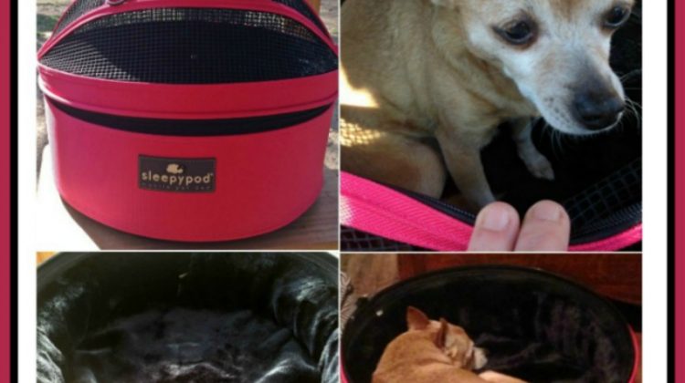 Sleepypod Mobile Pet Carrier Giveaway