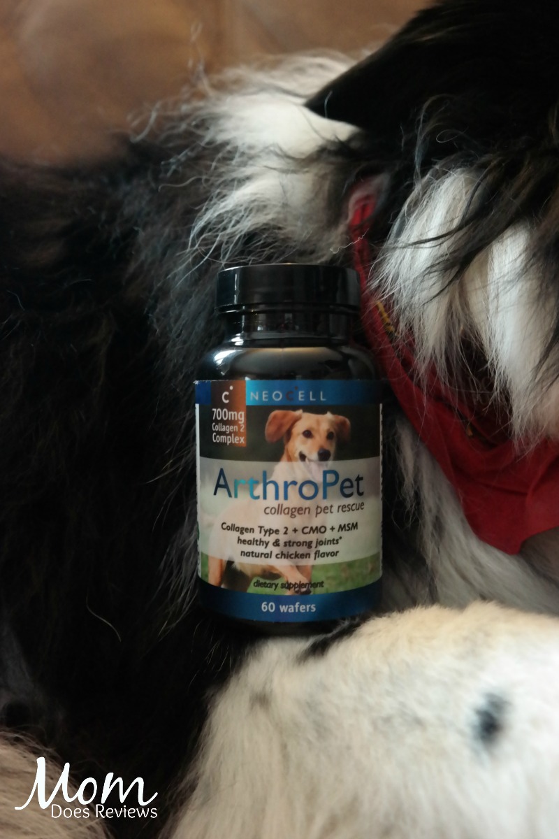 Marley Loves ArthroPet Collagen Pet Supplements